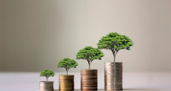 Showing,Financial,Developments,And,Business,Growth,With,A,Growing,Tree
